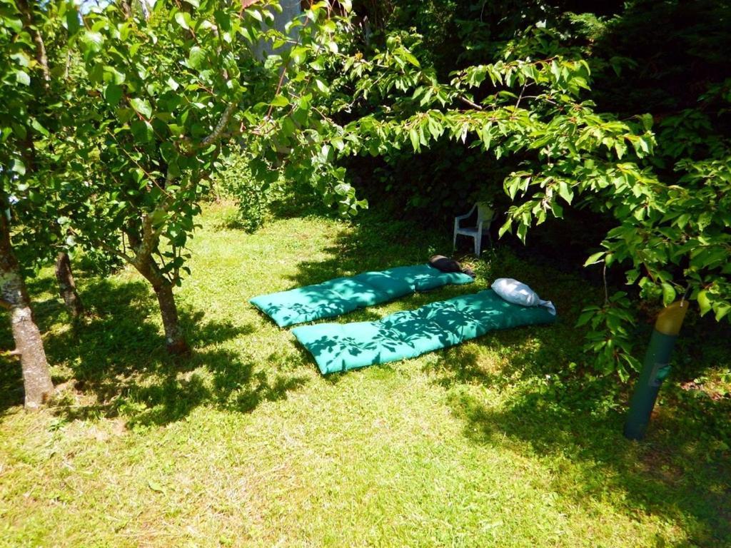 툴루즈 80 M2 Independant 4 Personnes Direct Gare Ou Aeroport Jardin Piscine 아파트 외부 사진